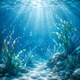 Aquatic