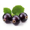Black Currant