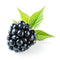 Blackberry