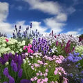 Floral