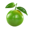 Green Tangerine