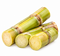 Sugar Cane
