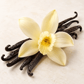 Vanilla