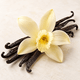 Vanilla