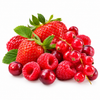 Red Berries