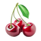 Sour Cherry