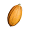 Cacao Pod
