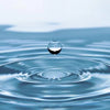 Watery Notes