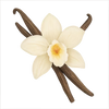 Madagascar Vanilla