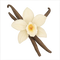 Vanilla